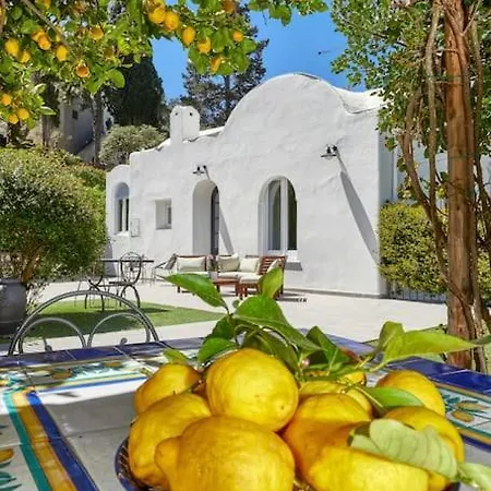 Dentecala 4 *
